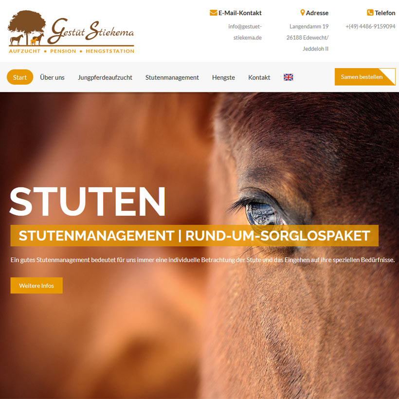 Webdesign Bremen Stiekema